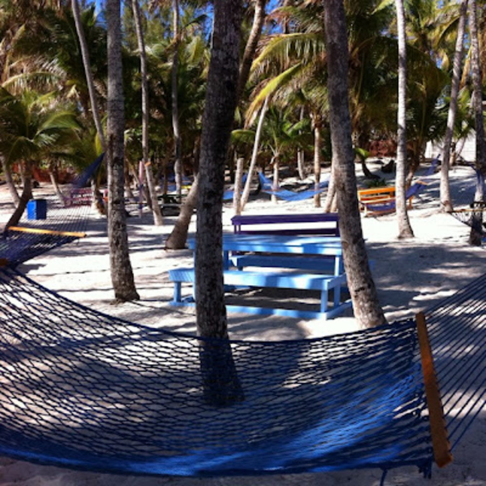 Meet your Posher, Sandy